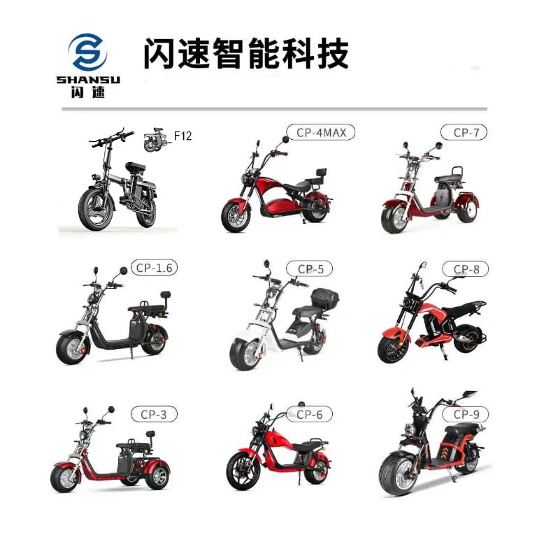 SHANSU - Global Partner for High-End Wholesale Electric Mobility Solutions