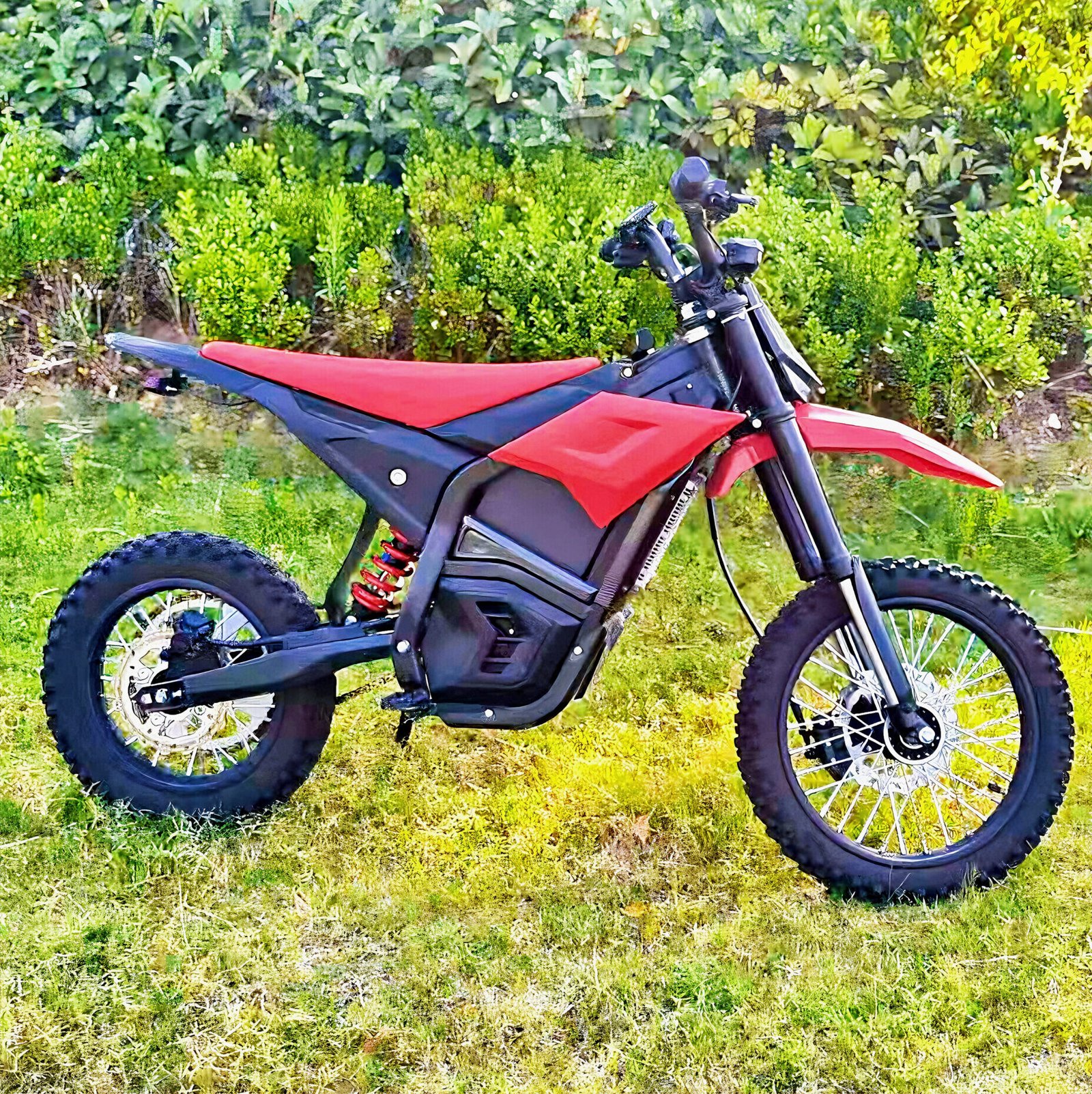 Electric Motorcycle